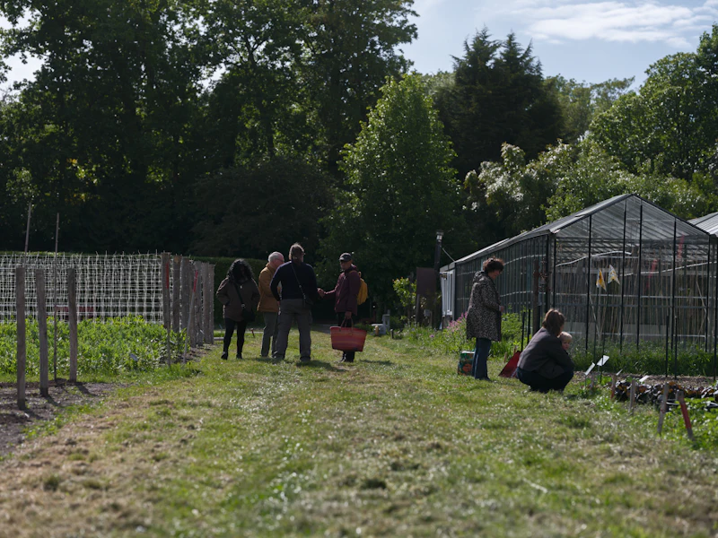 Jardin collectif et serres dans un écolieu